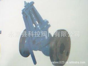 排污阀供货清单（第37页） 结构与性能概览